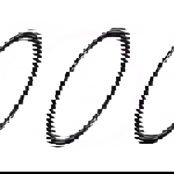 Viton O-Ring 75